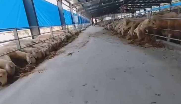 6000平方卷帘即将完工