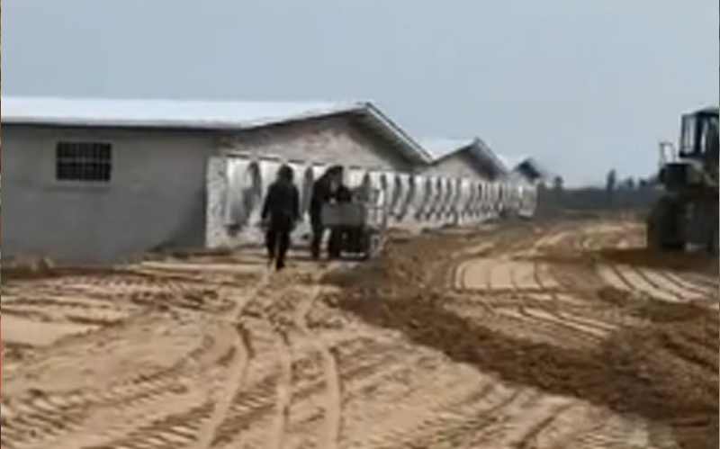 育肥厂-大风量铸铝玻璃钢负压风机