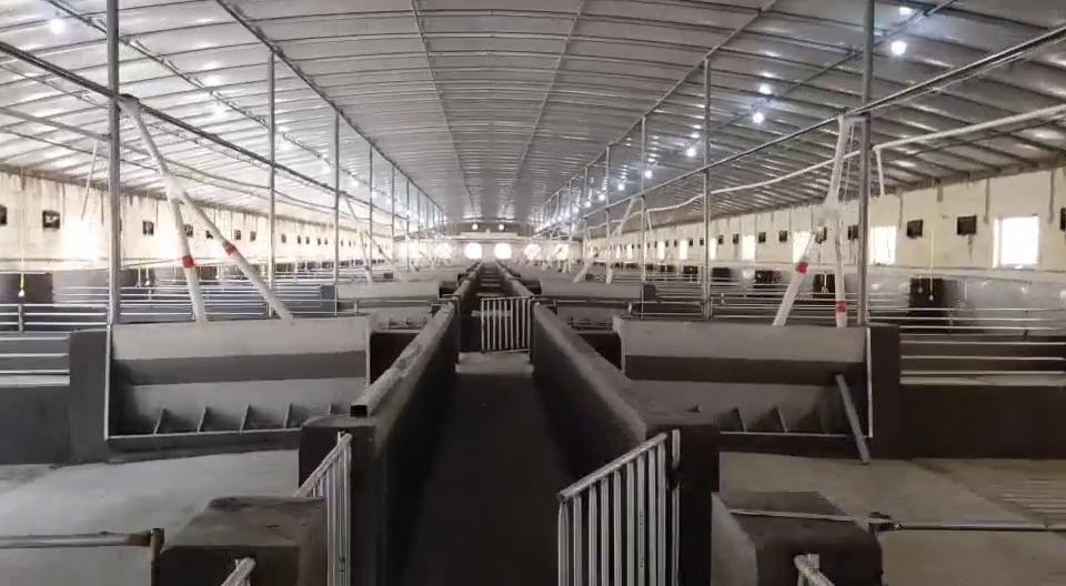 农乐养殖设备建造万头猪场完工